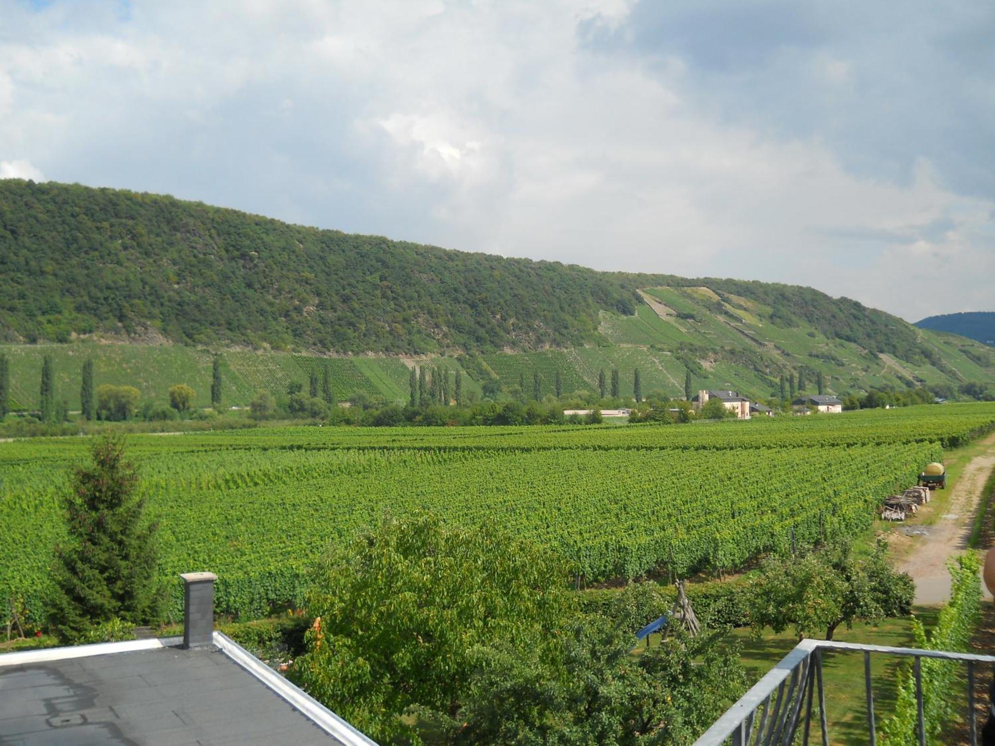 Ferienweingut Winnebeck Köwerich Habitación foto