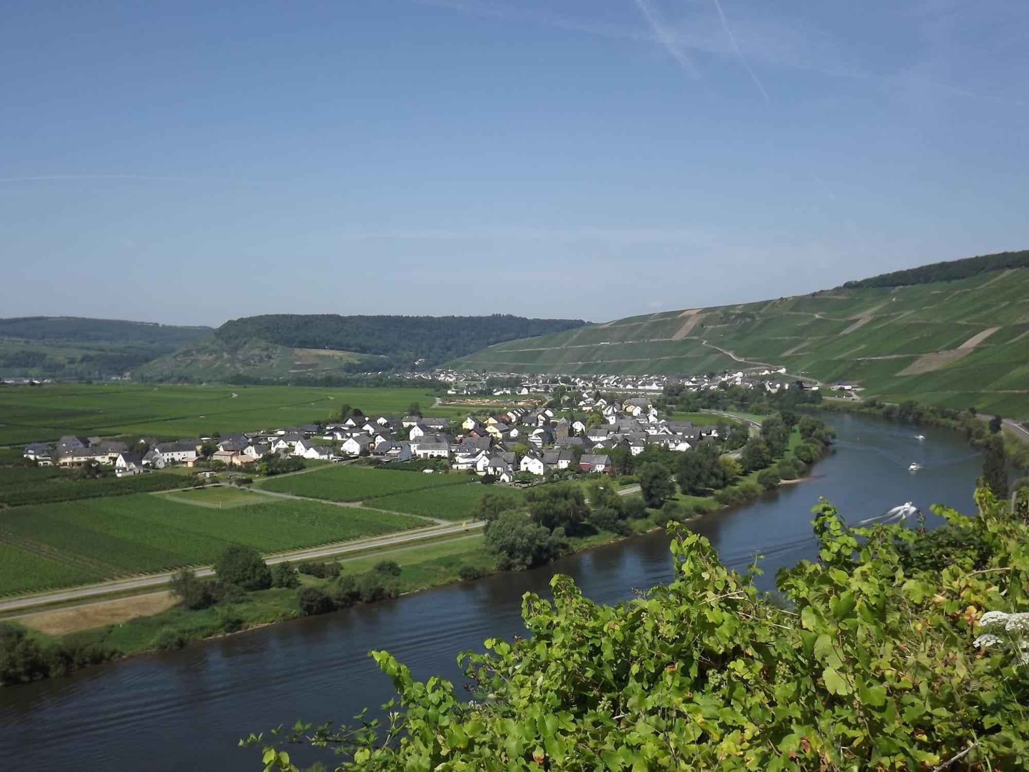 Ferienweingut Winnebeck Köwerich Habitación foto