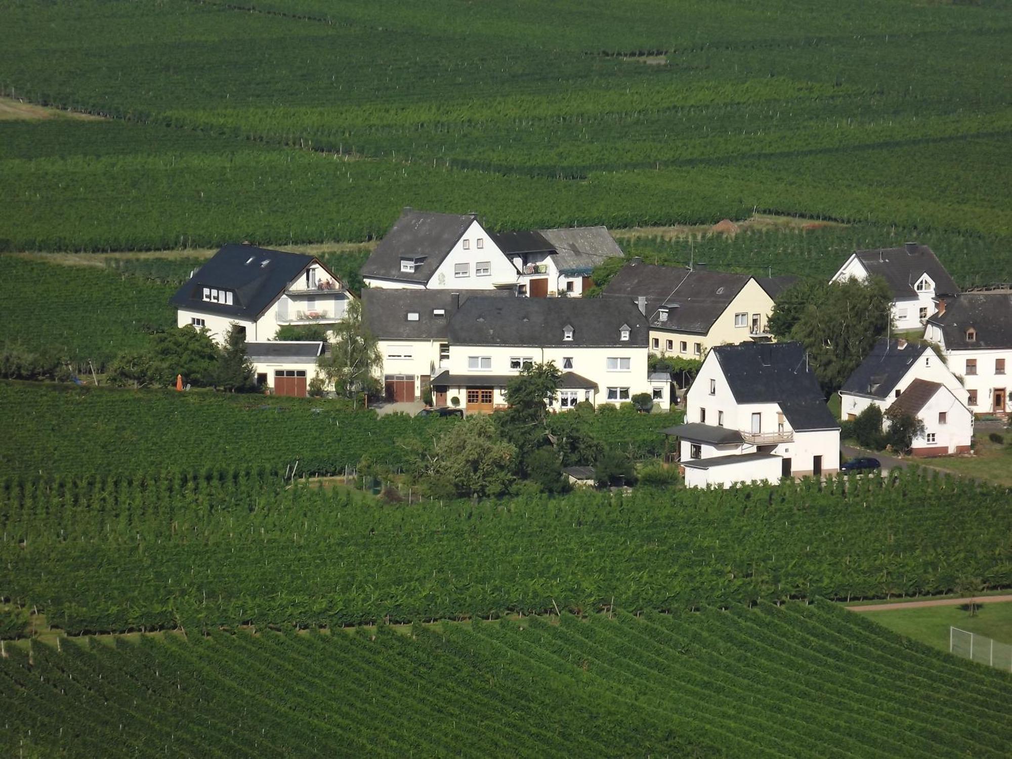Ferienweingut Winnebeck Köwerich Habitación foto